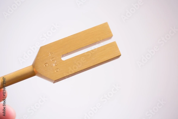 Obraz tuning fork on a fabric.