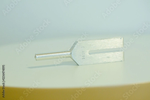 Obraz tuning fork on a fabric.