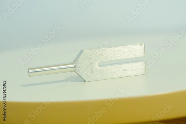 Obraz tuning fork on a fabric.