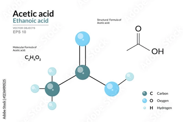 Fototapeta Acetic Acid. Ethanoic Acid. Vinegar. Structural Chemical Formula and 3d Model of Molecule. C2H4O2. Atoms with Color Coding. Vector Graphic Illustration for Educational Materials, Scientific Articles