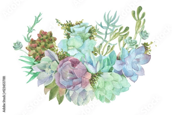 Fototapeta watercolor flowers succulents