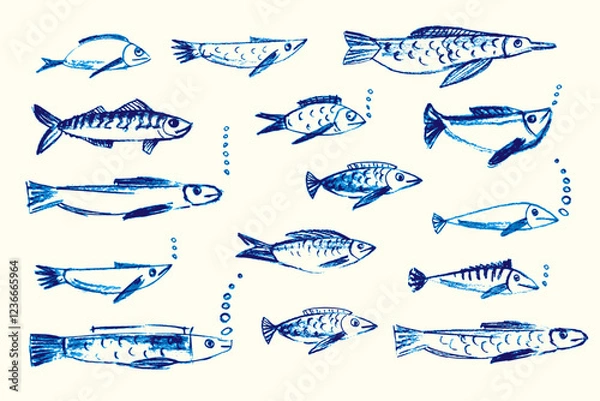 Obraz Crayon hand drawn set of various fishes. Doodle shapes. Cute sea pattern. Marine kids school background. Chalk sketch elements on white background. Vector illustrations