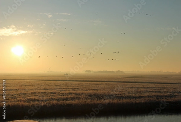 Obraz sunrise over the river