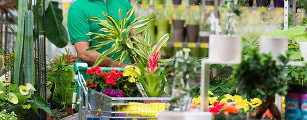 Fototapeta Baner klienta z koszykiem w centrum ogrodniczym