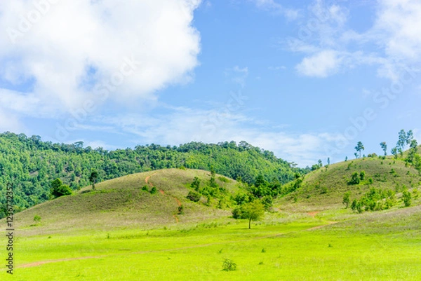 Obraz Phu Khao Ya: A Majestic Summit in Ranong’s Heart
