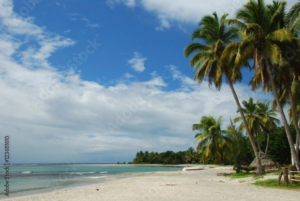 Obraz Plage tropicale