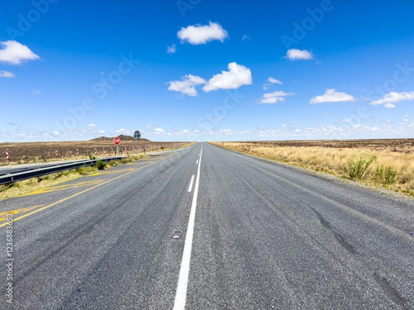 Fototapeta The N1 highway in the heart of the Karoo. The N1 allows travel by road between Johannesburg and Cape Town, South Africa.