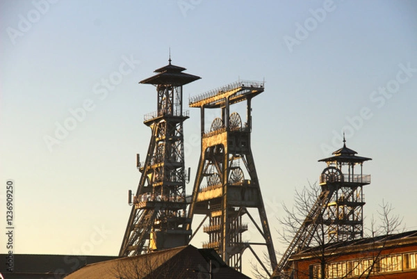 Fototapeta Chevalet d'Aremberg