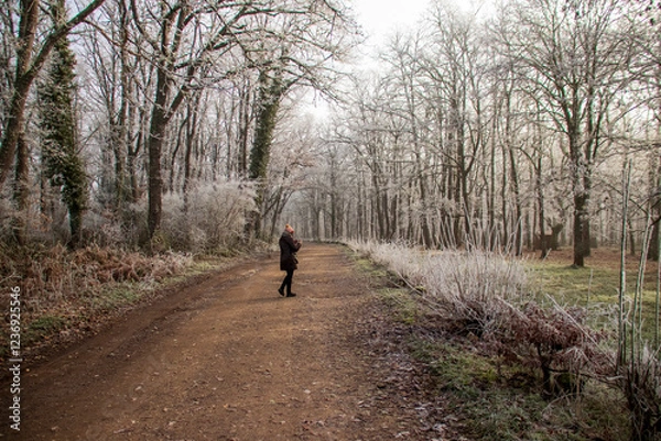 Fototapeta Cencellada en Espinosa