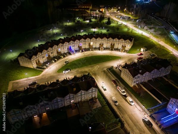 Fototapeta Espinosa de noche