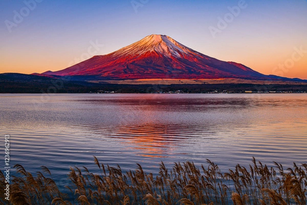 Obraz 山中湖から紅富士