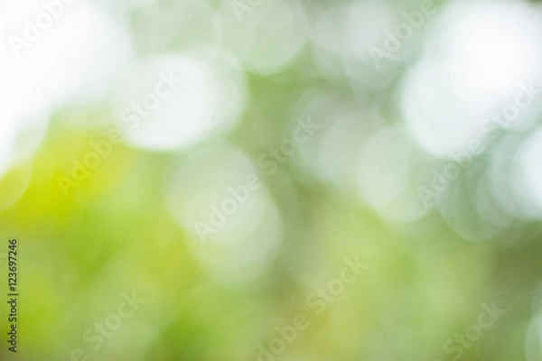 Fototapeta bokeh blur