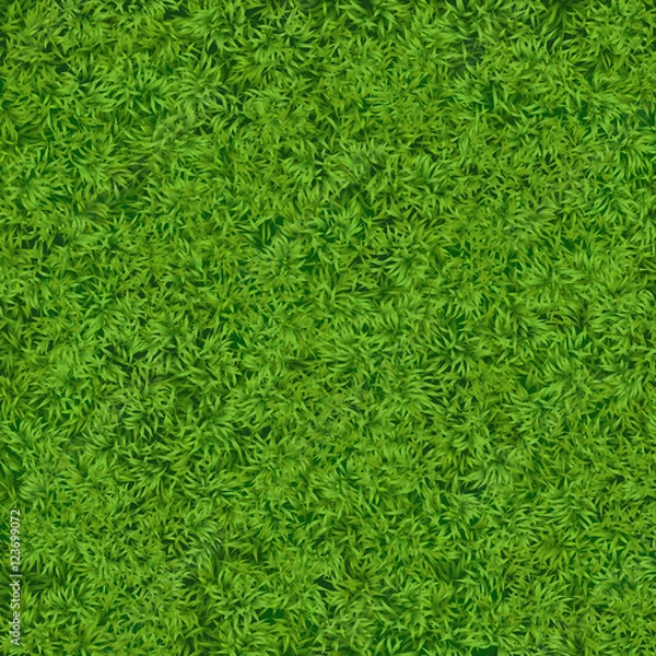 Fototapeta Natural realistic green grass texture background. Soccer grass top template.
