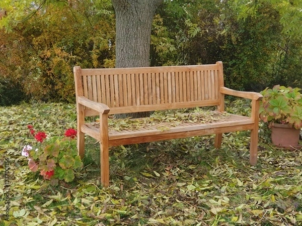 Fototapeta Wooden garden bench under an ash tree in autumn