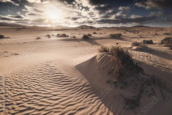 Obraz Fuerteventura - Corralejo - Dunes 