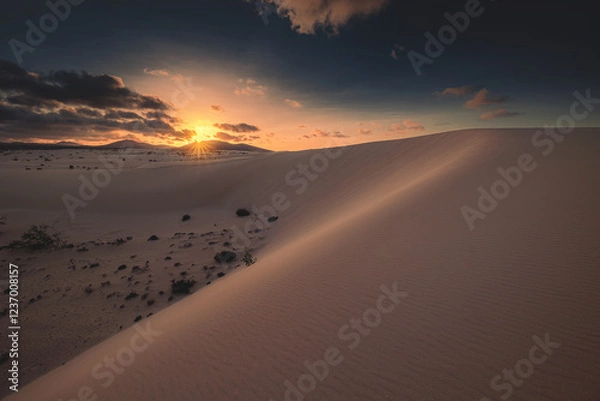 Obraz Fuerteventura - Corralejo - Dunes