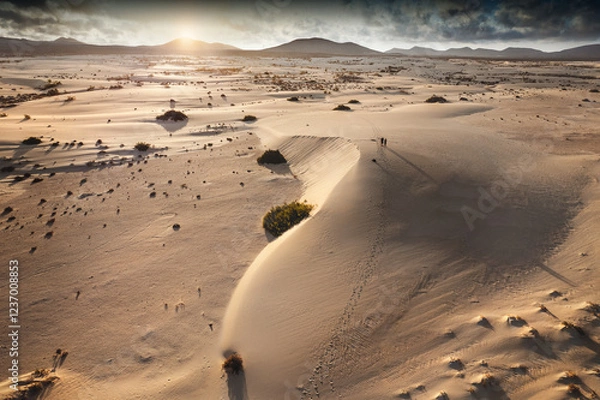 Obraz Fuerteventura - Corralejo - Dunes
