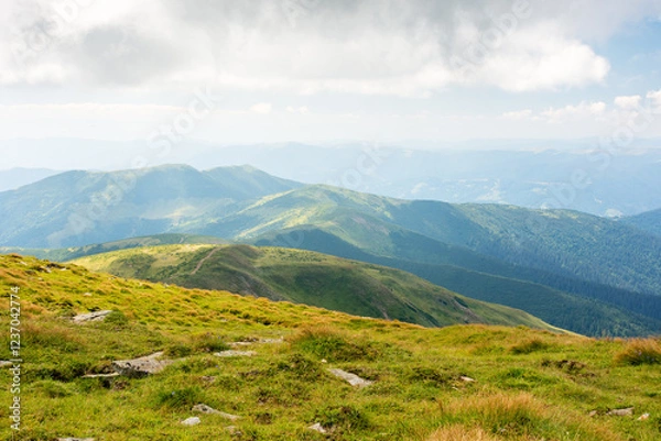 Fototapeta nature landscape with alpine grassy meadow of mnt. petros in dappled light. carpathian mountain scenery of ukraine in summer. popular travel destination of transcarpathia. green environment