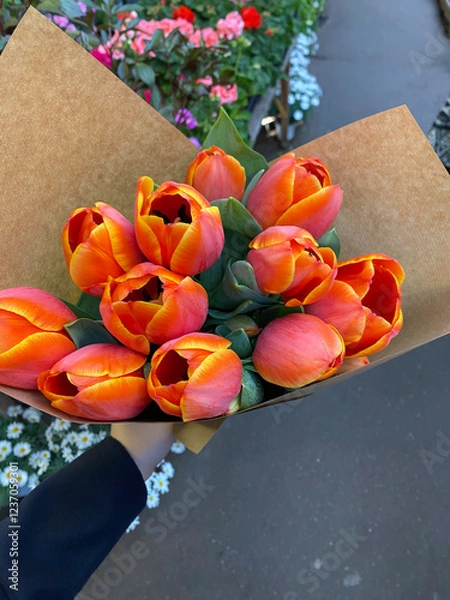 Obraz tulips