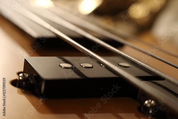 Fototapeta Fretless Groove The Heart of the Bass