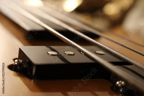 Fototapeta Fretless Groove The Heart of the Bass