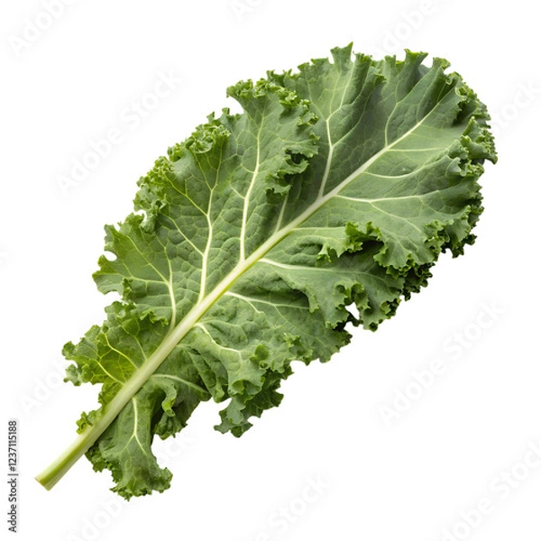 Fototapeta Fresh kale leaf nutritional green vegetable culinary focus, isolated on white or transparent background