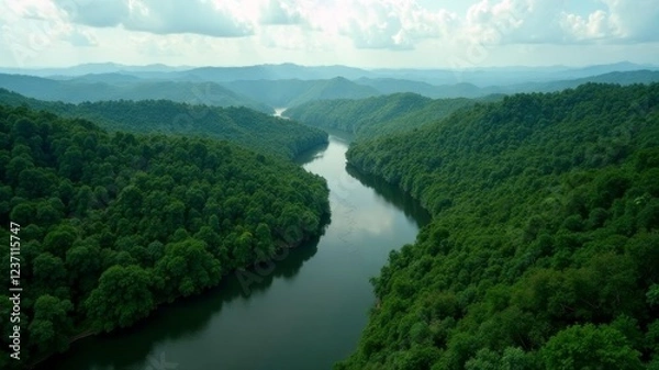 Fototapeta river among endless green forest. view from above