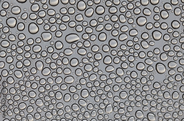 Fototapeta Macro water drops texture