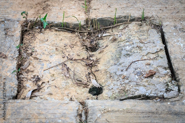 Obraz Cover the drain