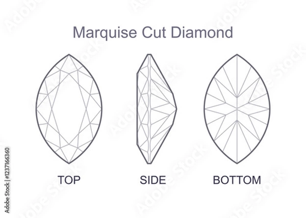 Fototapeta Marquise cut precious gemstone top, front and bottom views. Outline icon with editable stroke