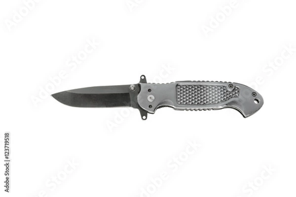 Obraz Black jackknife