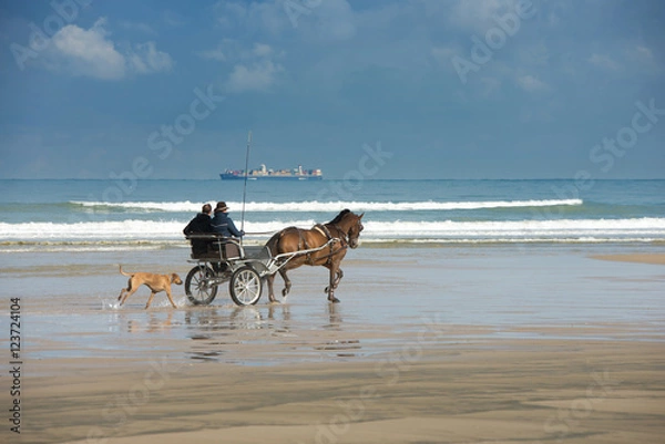 Fototapeta attelage sur la plage