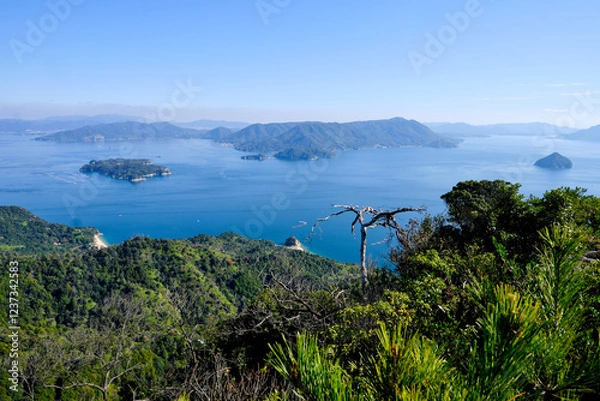 Obraz Japan - Miyajima