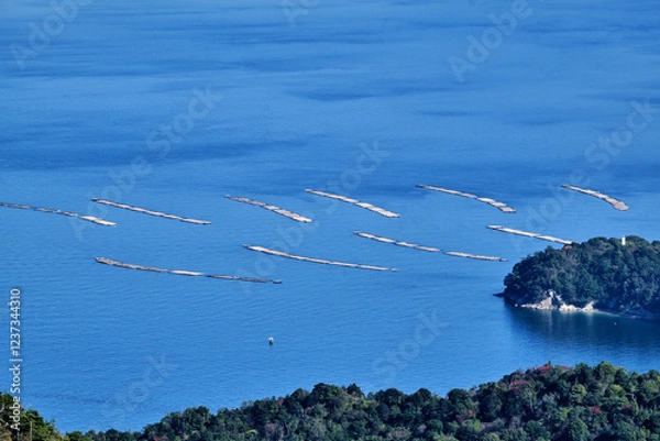 Obraz Japan - Miyajima