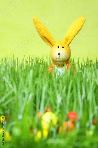 Obraz Osterhase im Gras