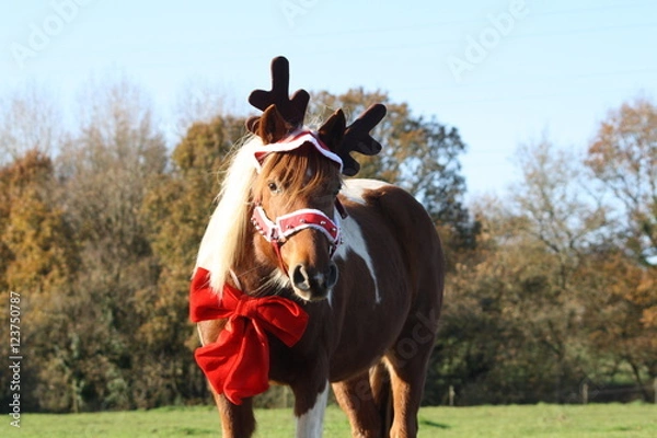 Obraz Ponette que se déguise pour Noël