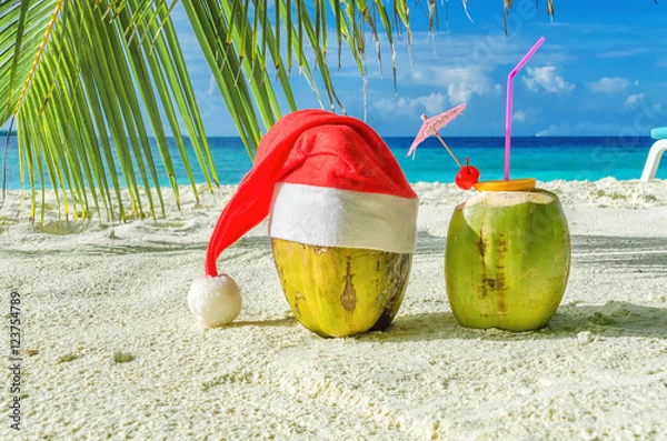 Fototapeta Two coconut Maldives at Christmas