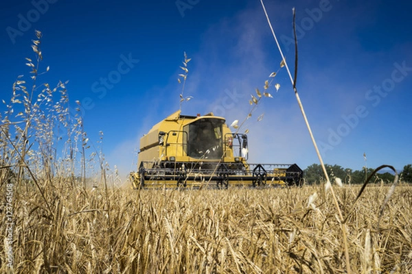 Obraz Cosecha de cereal, Madrid, junio de 2016