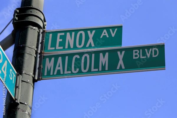 Obraz MALCOLM X BLVD