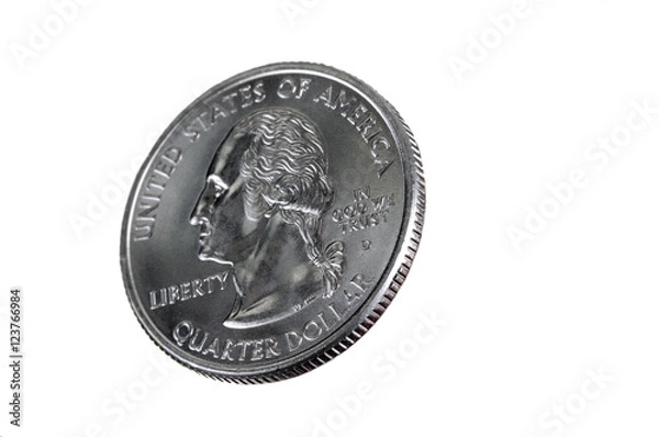 Obraz US Quarter