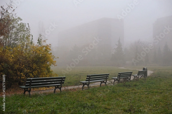 Fototapeta Fall in Berlin