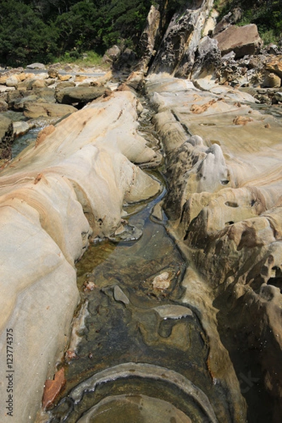 Fototapeta 高知県土佐清水市　竜串海岸　絞り幕