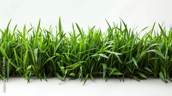 Fototapeta Lush green grass growing densely in a well-lit environment with abundant natural light