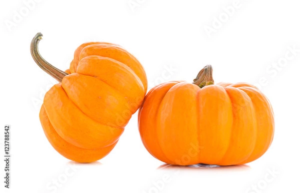 Obraz Pumpkin