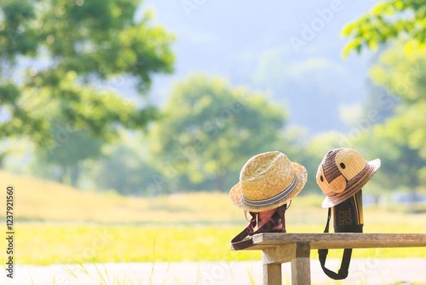 Fototapeta 夏の公園