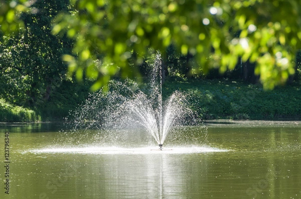 Obraz fountain pond park