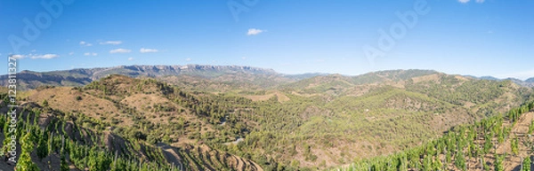 Fototapeta Panorama of the Comarca Priorat is a famous wine-growing area where the prestigious wine of the Priorat and Montsant is produced. Wine has been cultivated here since the 12th century
