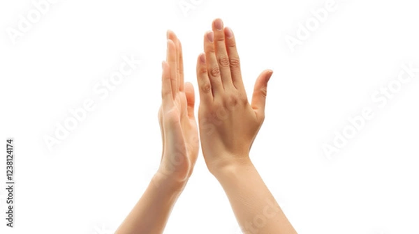 Fototapeta Two hands giving high five on transparent background
