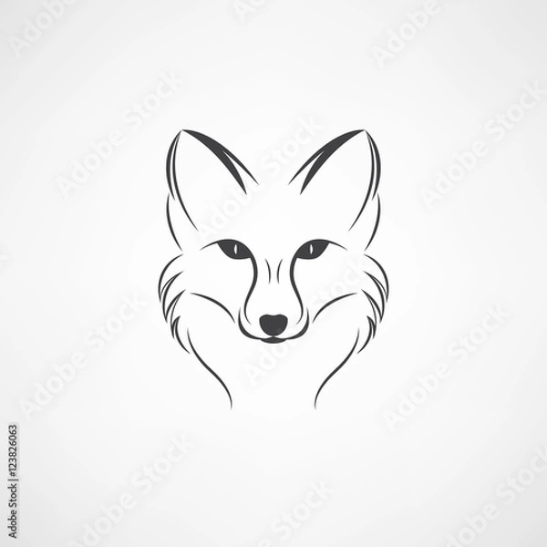 Fototapeta Vector image of a fox design on a white background