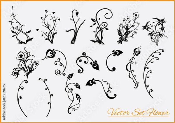 Obraz Vector Set Flower
